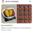 벌크커피나주혁신