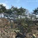 무풍소담 이미지