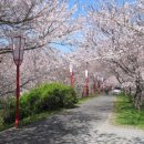 대동안경 이미지