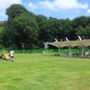 애견운동공원 이미지