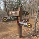 마래산 둘레길 이미지