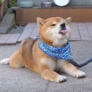 신라스테이서대문 이미지