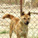 청자농장 이미지