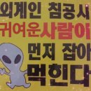 애니펫 이미지