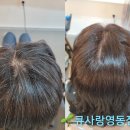 큐사랑염색방영동 이미지