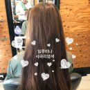 브라더헤어 이미지