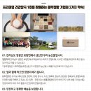 동락점빵사회적협동조합 | 한국사회적기업진흥원 이스토어36.5 프리미엄 건강잡곡도 동락점빵사회적협동조합에서
