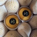 루니농장 이미지