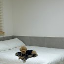 까사델뻬로 이미지