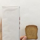 영토스트 이미지