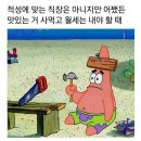 6월 둘째 주