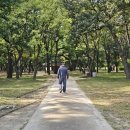 황성공원 이미지