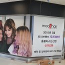 충남 논산 홈플러스내 프랑스 브랜드 mod's hair 오픈합니다 이미지