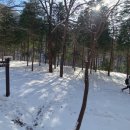 성주산자연휴양림 이미지