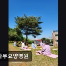 큰나무요양병원 | 큰나무요양병원 편안함과 전문 치료가 공존하는 공간