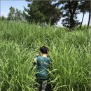 숲의 마음 이미지