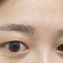 야시손톱 이미지