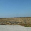 교로1리 마을회관 이미지