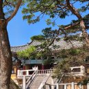 묵고가자 - 영천시 | 아기랑 경주여행 1박2일 후기 - 유모차로 다녀온 경주 1박2일 코스 추천