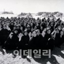 아물다 이미지