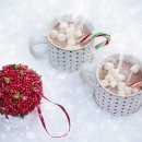 청 애견미용 이미지