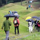 단산유적공원 이미지