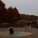 호수정감 이미지