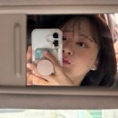 미소가든펜션 | 2박 3일 강릉 여행 전부 내돈내산 후기 1일차 기록 ( ft. 동화 가든 / 초당 커피 정미소 / 마켓 우붓...