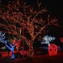 돌산공원 이미지