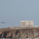 순항