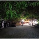 옥동천 | 강원도캠핑장 자연 속 감성 충만한 외룡송어회캠핑장 후기