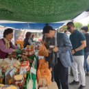 일일농산물 이미지