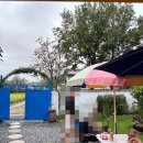 철호네 민박 이미지