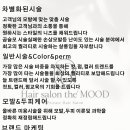 더무드헤어 이미지