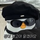 차의과학대학교 스포츠의학대학원 이미지