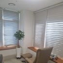 턱사랑혀사랑구강내과치과의원 네이버블로그