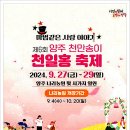 천일홍축제 이미지