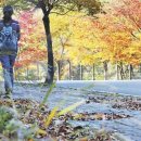 헤이리로(1) 이미지