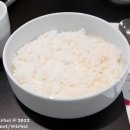 최네집 이미지