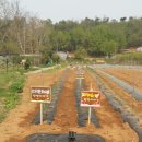 해와달농장 이미지