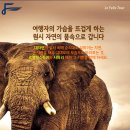 펠릭스컨설팅 이미지