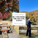 오가장 | 대구 가창 단풍명소 카페 오퐁드부아, 주리485