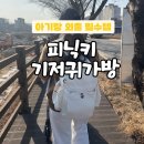 헤일리 | 피닉키 기저귀가방 헤일리백 후기