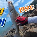 농어포인트 농어낚시 이미지