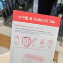 제주도게스트하우스파티달이머물 | 제주 게스트하우스 게하 스텝 지원 방법 합격지원문자 쓰는 꿀팁 후기
