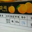 환규네과수원 이미지