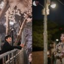 봄밤 이미지