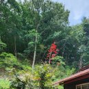 주택 앞 이미지