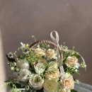 더브랜드빌 이미지