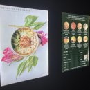 빕구르망, 그린스타 | 꽃밥에피다 북촌 친환경 그로서란트, 꽃밥이야기, 친환경 유기농, 비건 한식 맛집